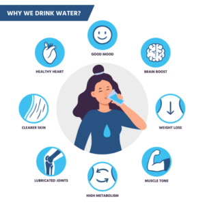 Why we Drink Water
